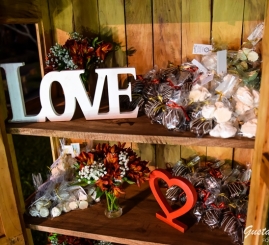 Casamento Lucas & Quesia